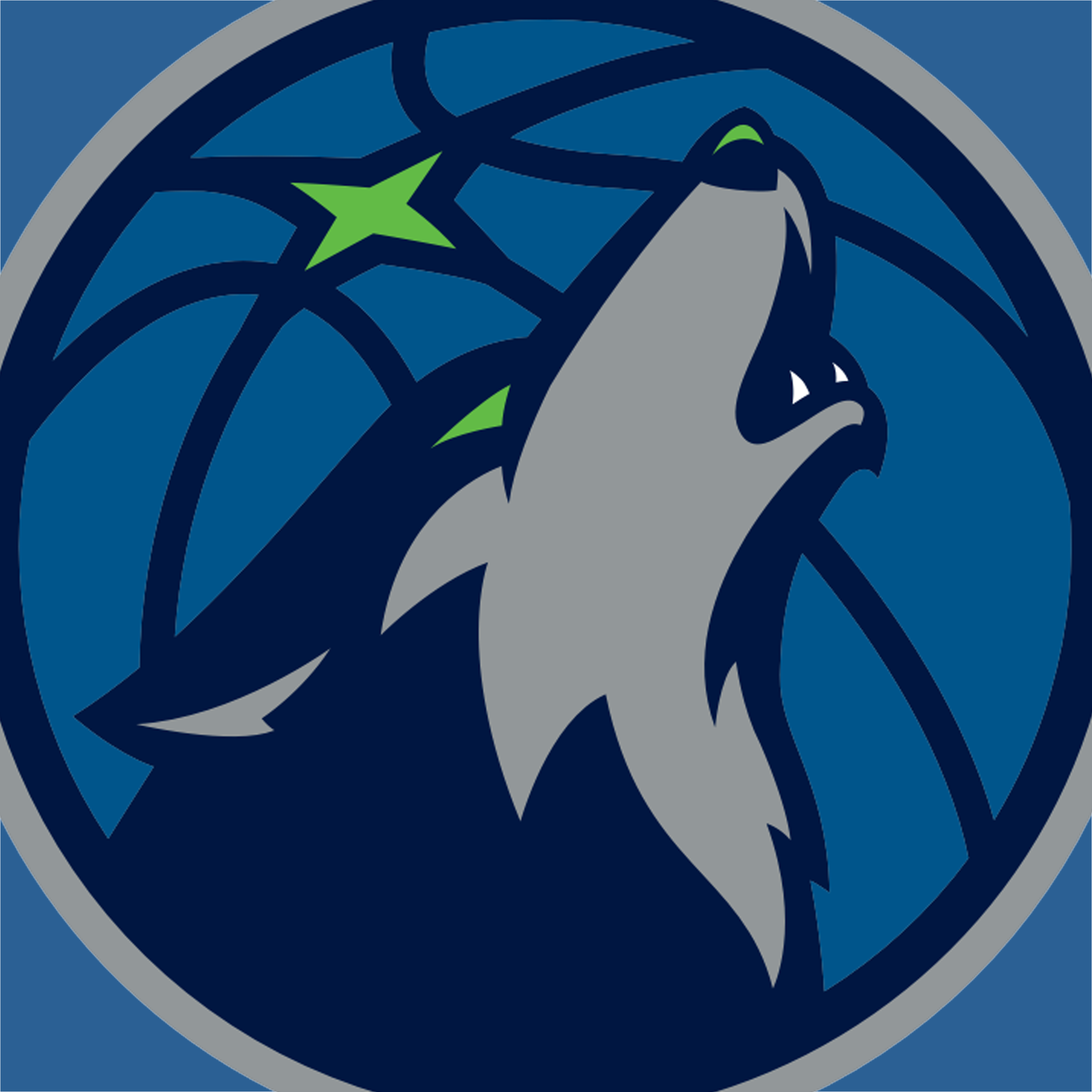Minnesota Timberwolves