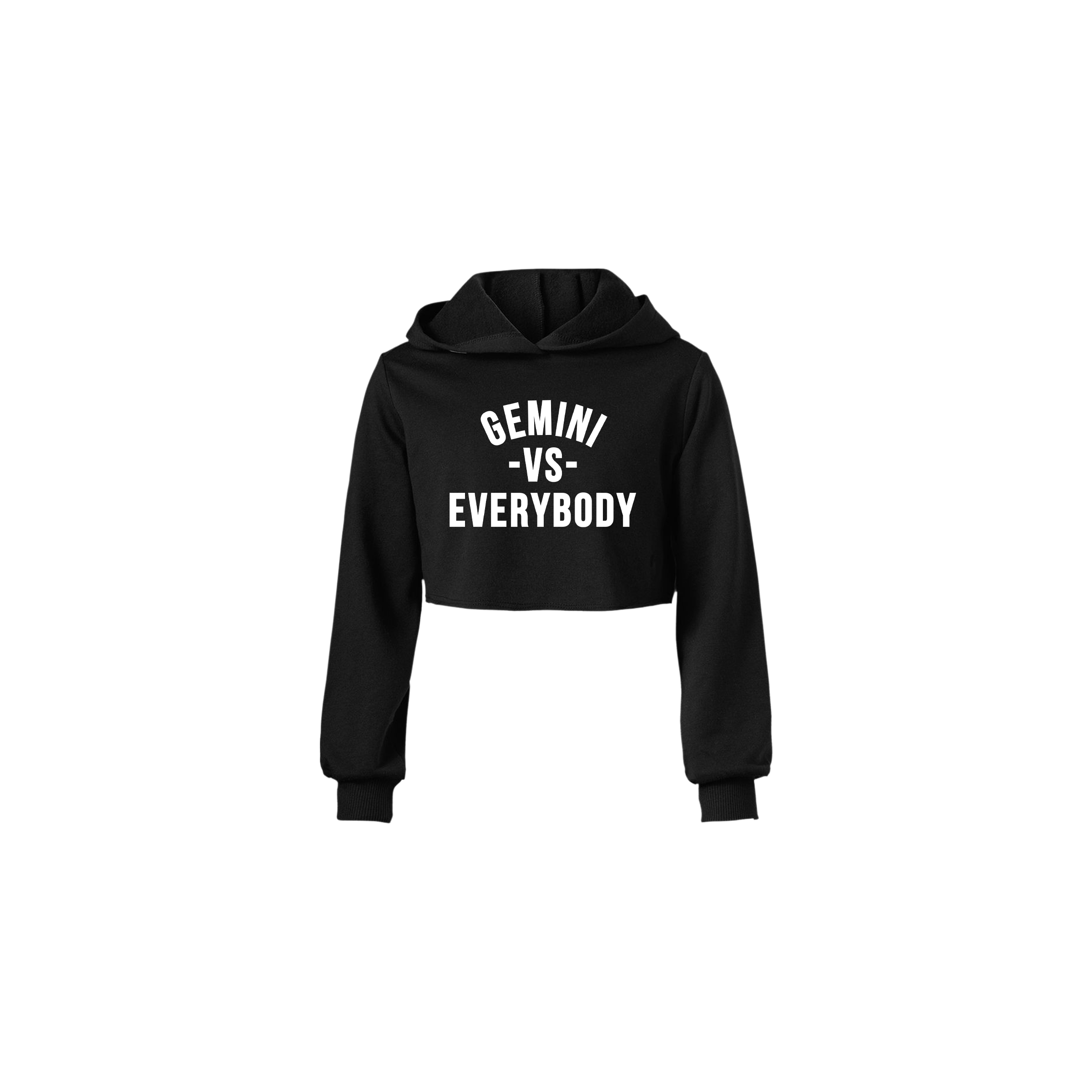 Gemini Vs Everybody Crop Hoodie image 0